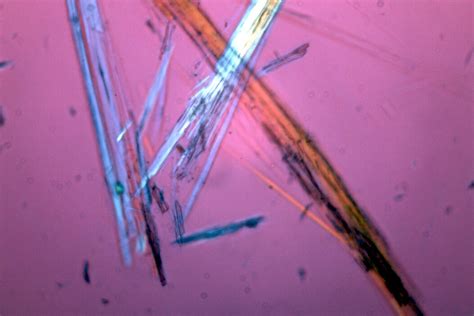 Asbestos through the Microscope | RH Services Inc.