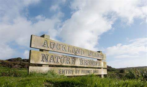 How to Visit Auckland Islands - Heritage Expeditions