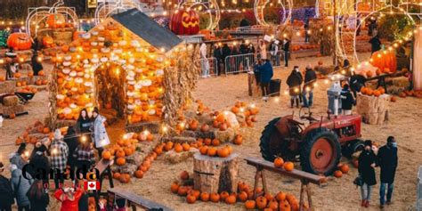 Halloween Events In Ontario - Canada Tourist