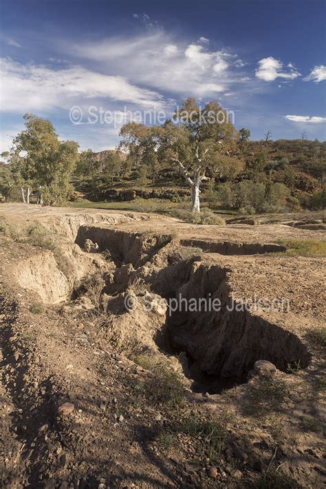 Best Photographs of Australian Rural Landscapes in South Australia,