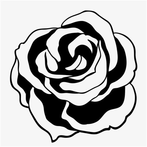 Download High Quality rose clipart black Transparent PNG Images - Art Prim clip arts 2019