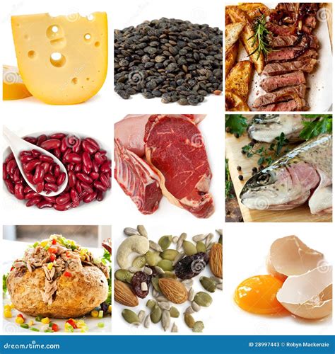 Food Sources of Protein stock image. Image of diet, chicken - 28997443