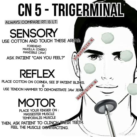 Traumagency: Cranial Nerve Examination