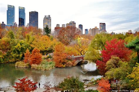 10 Best Places to See Fall Foliage in Central Park - Untapped New York