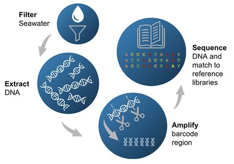 eDNA water sampling - Ocean Health Research - iAtlantic