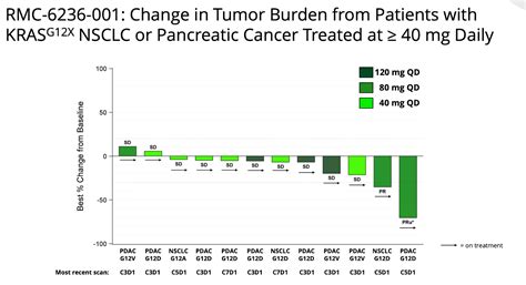 Revolution Medicines: Early-Stage Firm Whose High Valuation I Cannot ...