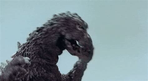 Godzilla GIF - Find & Share on GIPHY