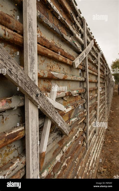 Memorials mark the border fence between Mexico and the USA to ...