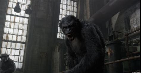 Dawn Of The Planet Of The Apes Behind The Scenes Photos | Others