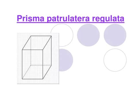 PPT - Prisma patrulatera regulata PowerPoint Presentation, free ...