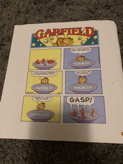 Full Color Garfield Sunday Comics-Full Page | Etsy