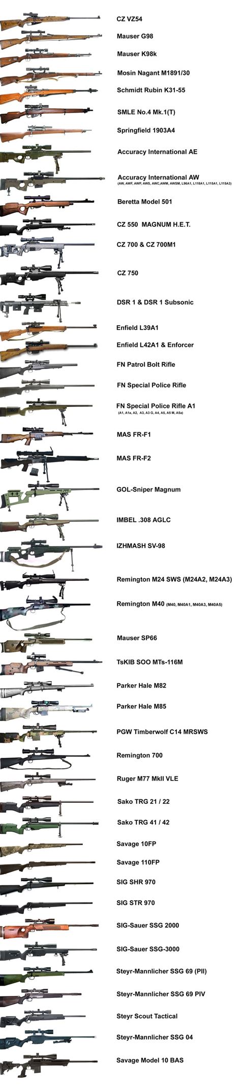 What Are The Different Types Of Rifles That Exist Tod - vrogue.co