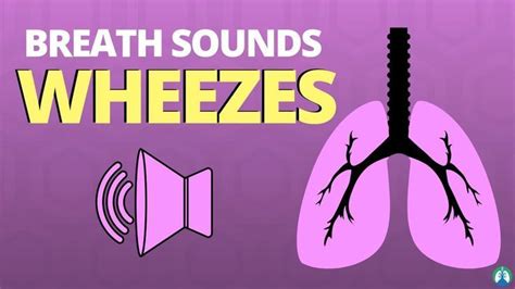 WHEEZES BREATH SOUNDS (What Does Wheezing Mean?) | Lung sounds, Breath ...