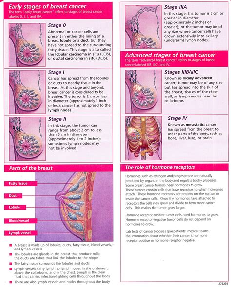 Breast Cancer, What are the 5 warning signs of breast cancer? What are ...