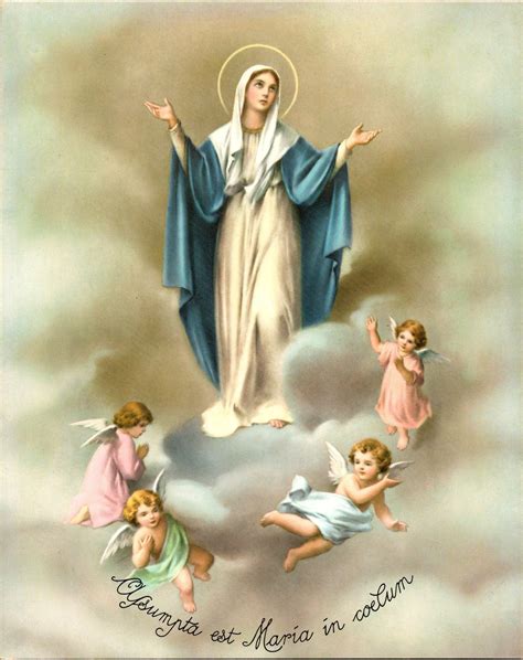 Immaculate Conception Novena Digital Download Catholic Print 8 X 10 - Etsy