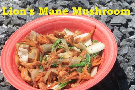 Lion’s Mane Mushroom Stir Fry – Gluten-Free and Vegan | Mushroom stir fry, Stuffed mushrooms ...