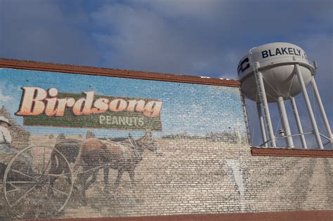 blakely-georgia-water-tower-birdsong-mural-visit-early City Of Blakely ...