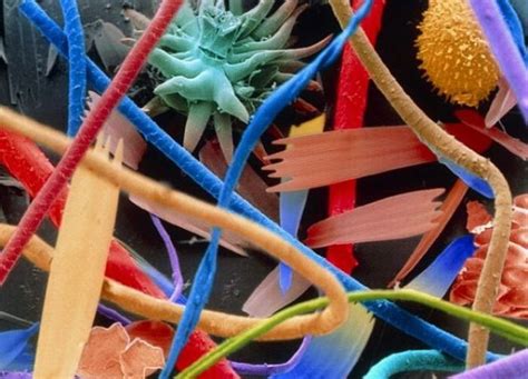 Everyday Items under a Microscope (27 pics)