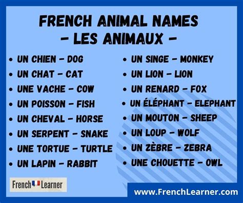 French Animal Names