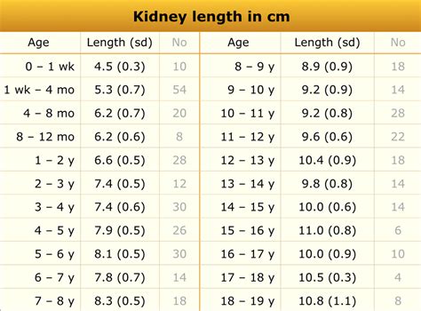 Fetal Kidney Size Chart In Mm