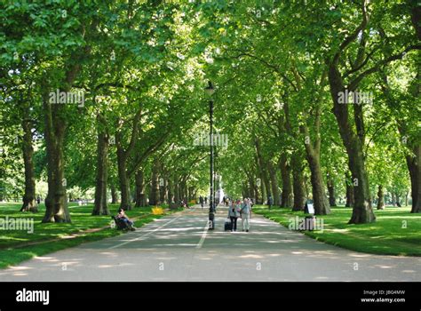 Hyde park oak tree hi-res stock photography and images - Alamy