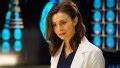 Amelia Shepherd Brain Tumor: Inside the Grey's Anatomy Plot Twist ...