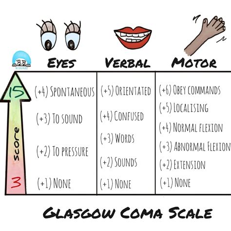 Glasgow Coma Scale Assessment