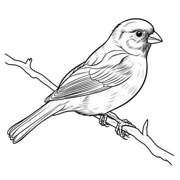 Taxidermy Techniques Stock Illustrations – 126 Taxidermy Techniques Stock Illustrations, Vectors ...