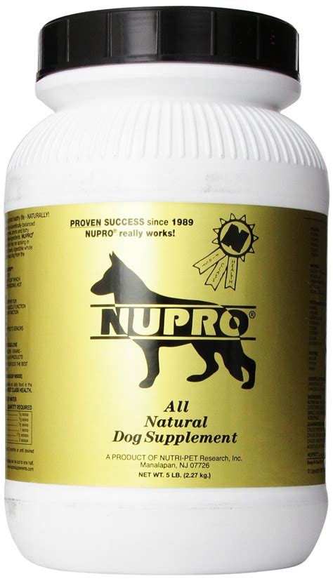 56 Most Popular Dog Supplements – Top Dog Tips