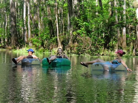 Ichetucknee Springs tubing: Amazing only-in-Florida experience