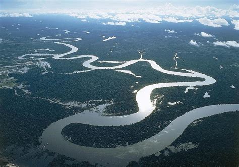 An introduction to giant fish in Mekong river