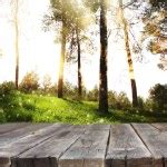 Image of front rustic wood boards and background of trees in forest. image is retro toned ...