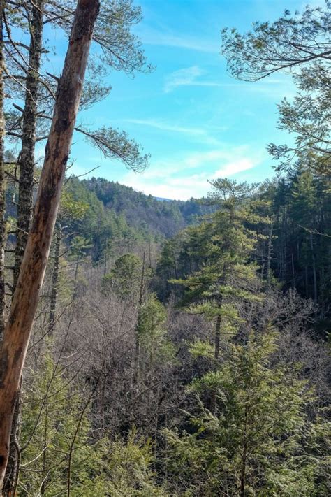 Hike the Abrams Falls Trail: Great Smoky Mountains