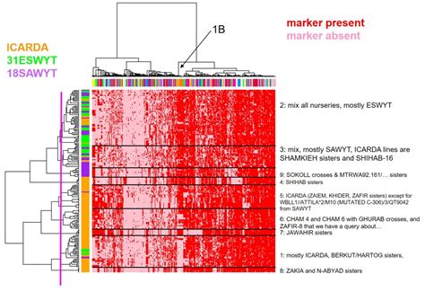 Genotyping data – CAIGE