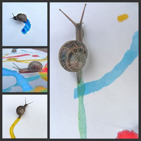 Creative Flourishes: Not for the squeamish- Snail Painting!