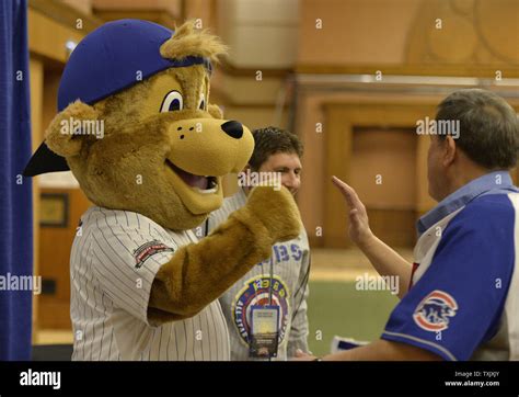 Chicago Cubs mascot Clark greets fans at the 29th Annual Cubs Convention in Chicago on January ...