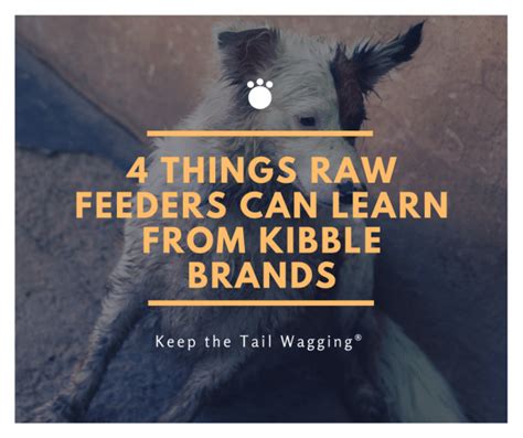 4 Things Raw Feeders Can Learn from Kibble Brands | Keep the Tail Wagging