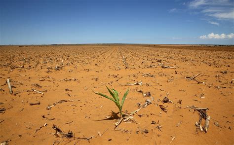 Drought and Animal Disease Threaten South African Farmers - SAPeople - Your Worldwide South ...