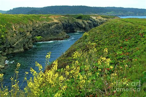 Mendocino Headlands Photograph by Charlene Mitchell | Fine Art America