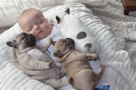 Kids baby pictures: cute baby sleeping with puppies