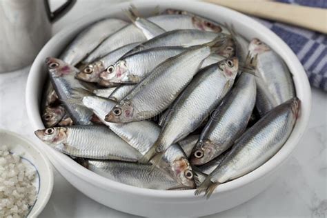 Dish with Raw European Sprat Stock Image - Image of fresh, bristling ...