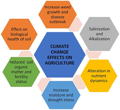 Frontiers | Climate Change and Salinity Effects on Crops and Chemical ...