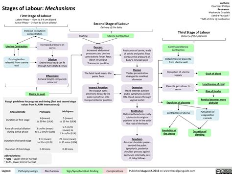 Mechanism Of Labour Flow Chart