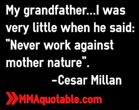 Cesar Millan Quotes. QuotesGram