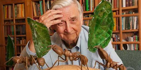 Alabama native E.O. Wilson, internationally recognized biologist and author, dead at 92 ...