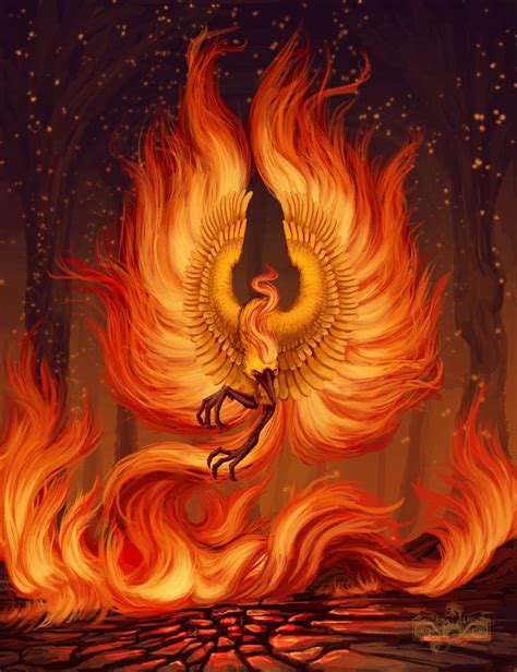 An Awesome Picture of Moltres : pokemon