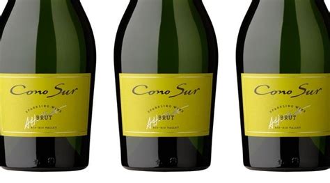 Cono Sur Sparkling Wine from Chile – Glass Of Bubbly