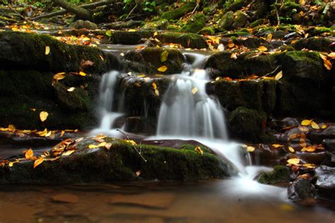 Seneca Waterfalls 9 | Waterfalls| Free Nature Pictures by ForestWander Nature Photography