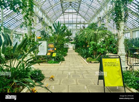 Interior of a glasshouse at Royal Botanical Gardens Kew during the covid19 restrictions Stock ...