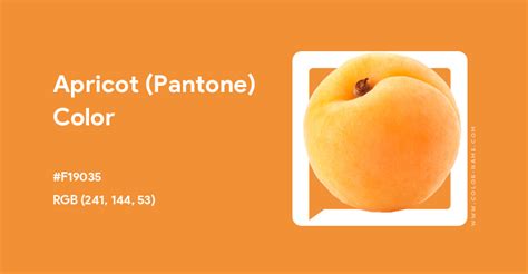 Apricot (Pantone) color hex code is #F19035